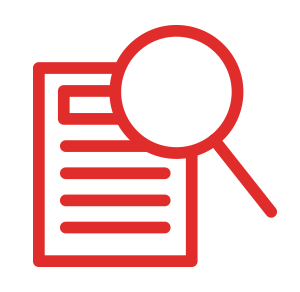 A document with magnifying glass icon